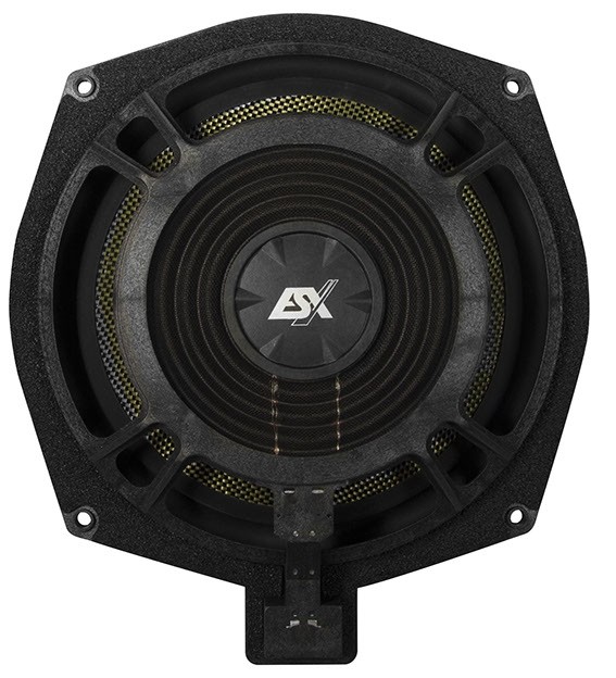 20 cm (8”) Bass Speakers (Pair) VS200WX BMW