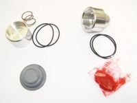 Revisie Set Forge Valves DV001