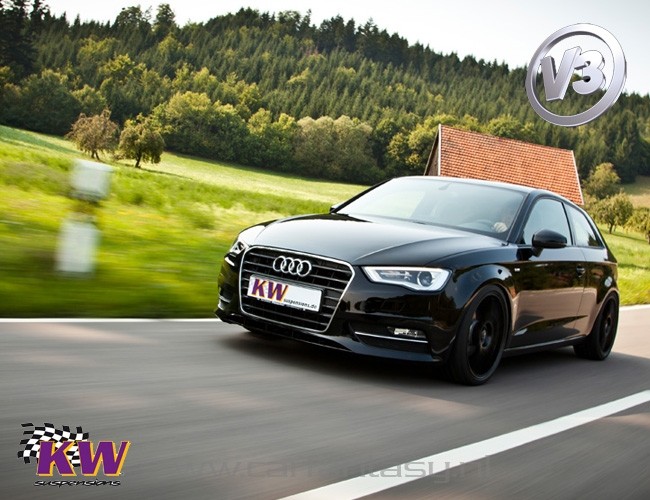 Schroefset KW V3 inox Audi A3 8P 2.0FSI 03/2003-