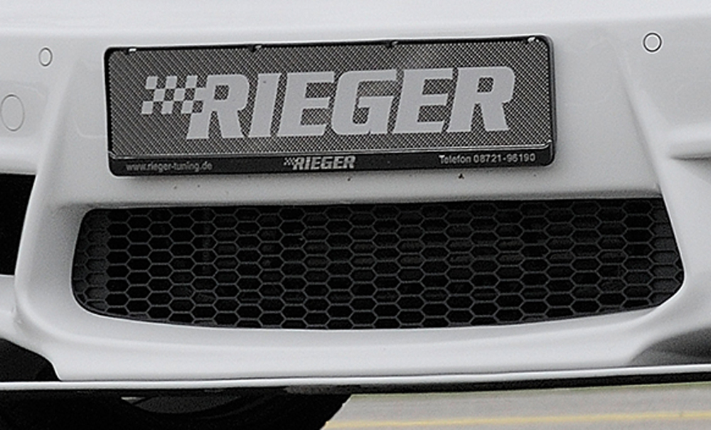 Rieger mesh BMW 1 serie