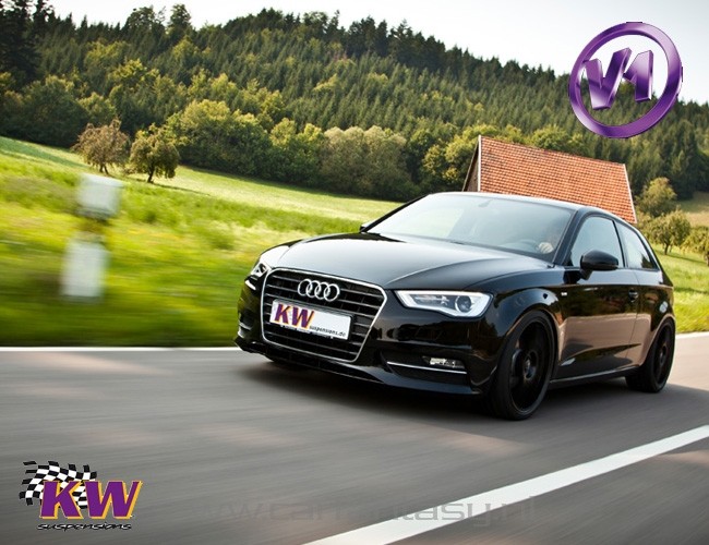Schroefset KW V1 inox Porsche Boxster 986 2.7 -1998