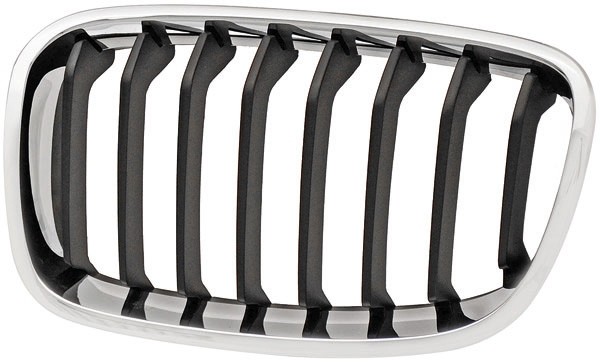 Grill Links BMW F20