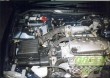 GREEN kit Honda Civic VI (1995-2001) 1.6i 16V 83/84/85kw (E