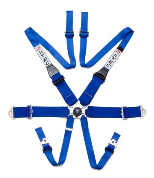 6 punts Gordel LTEC FIA Magnum Div. Kleuren