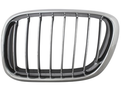 Grill Chroom ribben BMW X5 E53