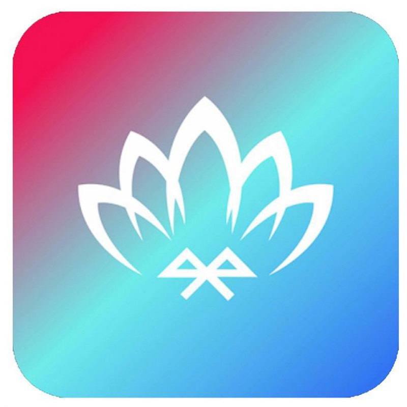 10-Delige Multi-Color LED Interieur Sfeerverlichting met App Bediening & 8-meter Optical Fiber