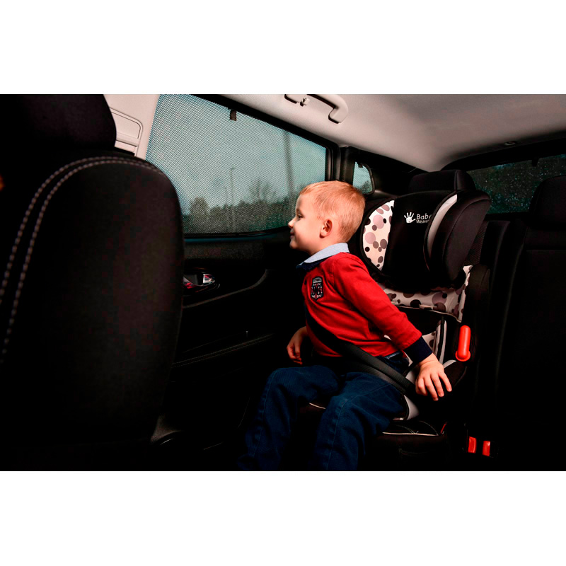 Set Car Shades  Renault Scénic E-Tech 2024- (4-delig)